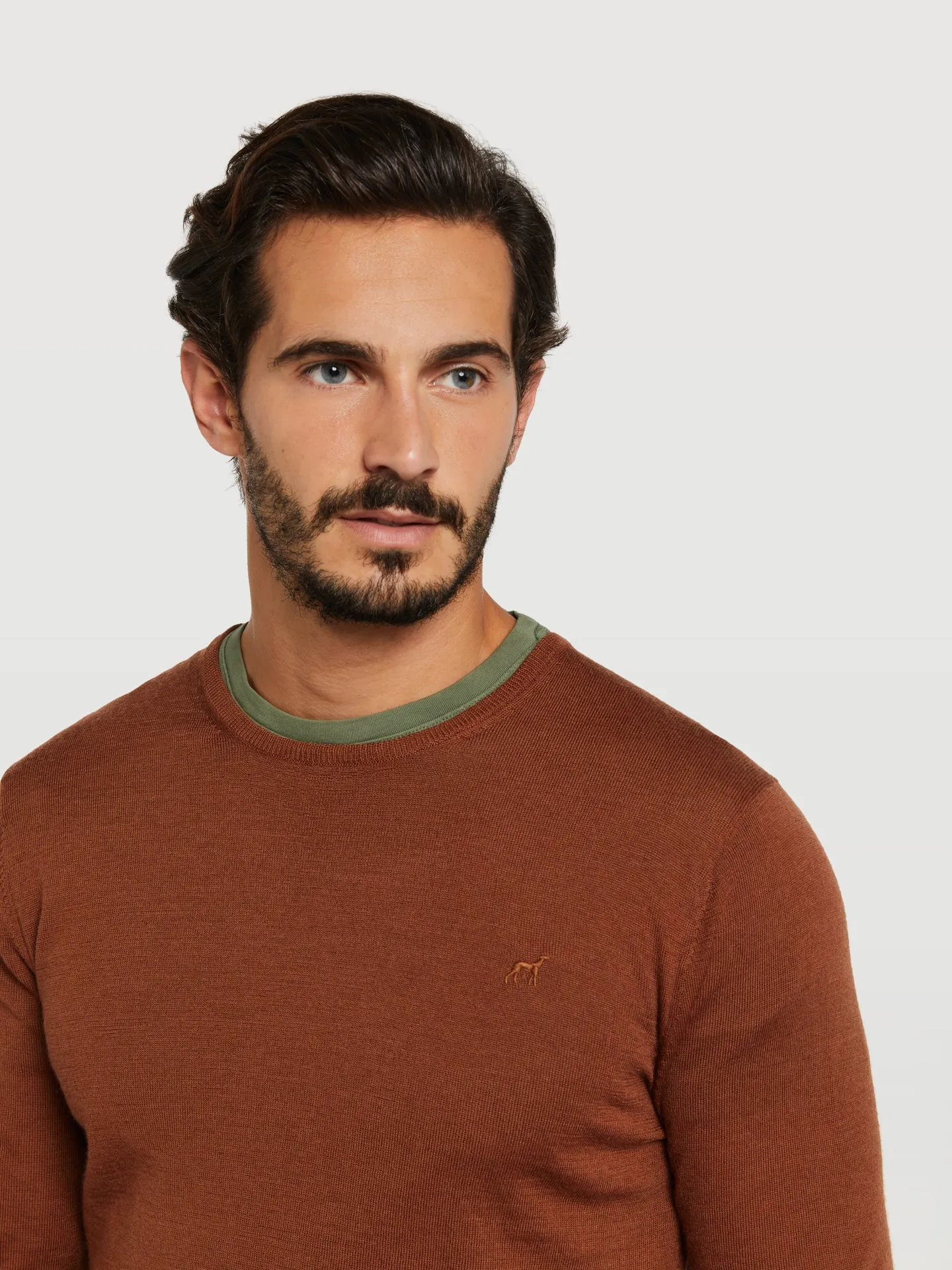 Extra fine merino wool crew neck sweater