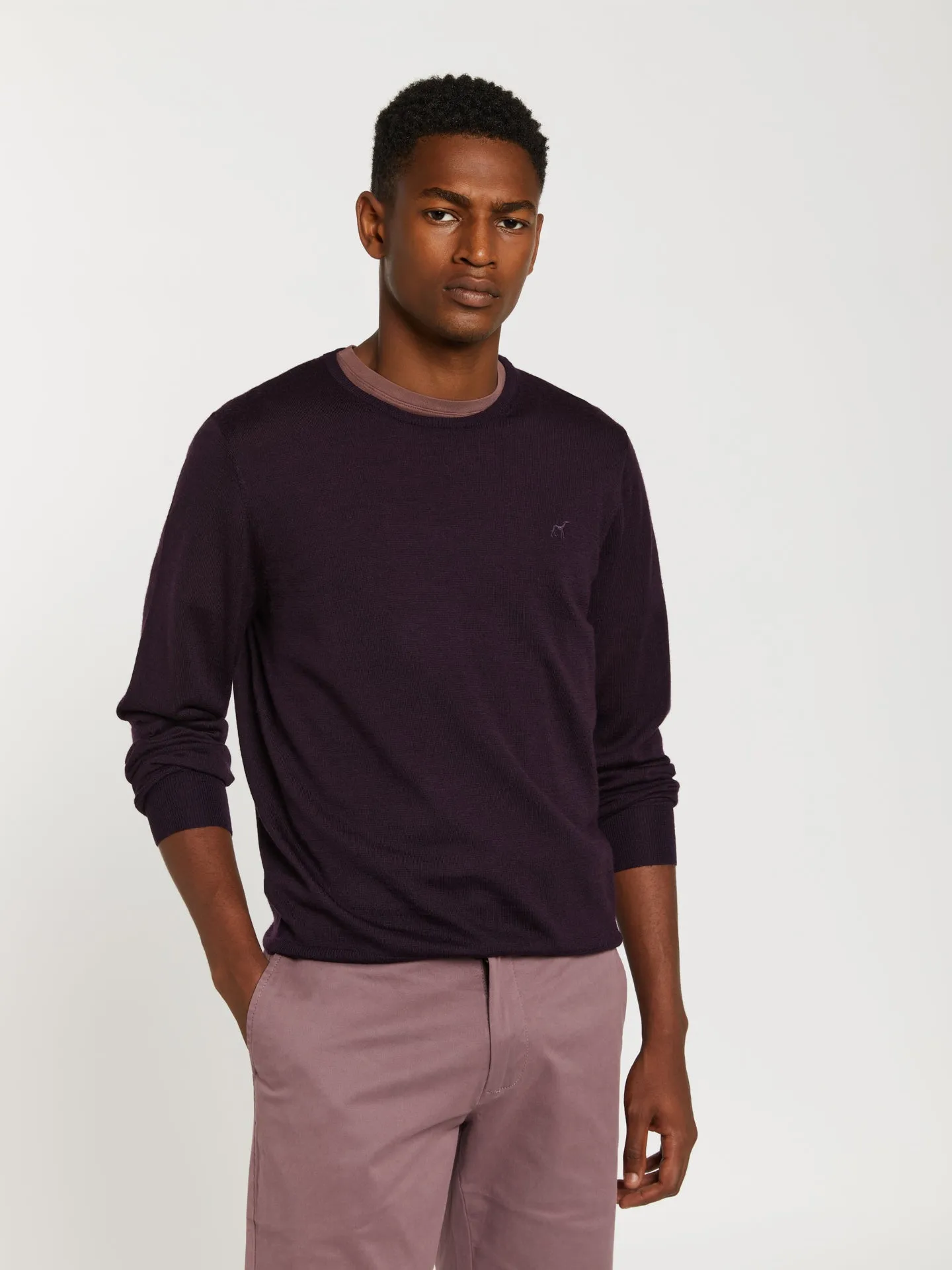 Extra fine merino wool crew neck sweater