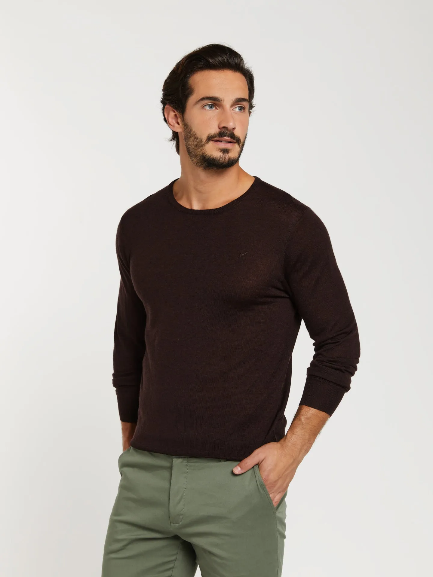 Extra fine merino wool crew neck sweater