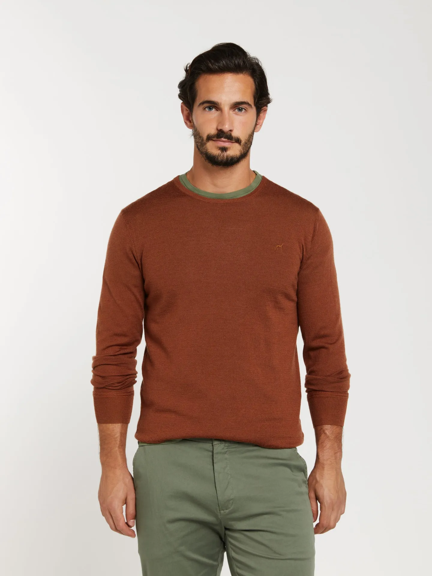 Extra fine merino wool crew neck sweater