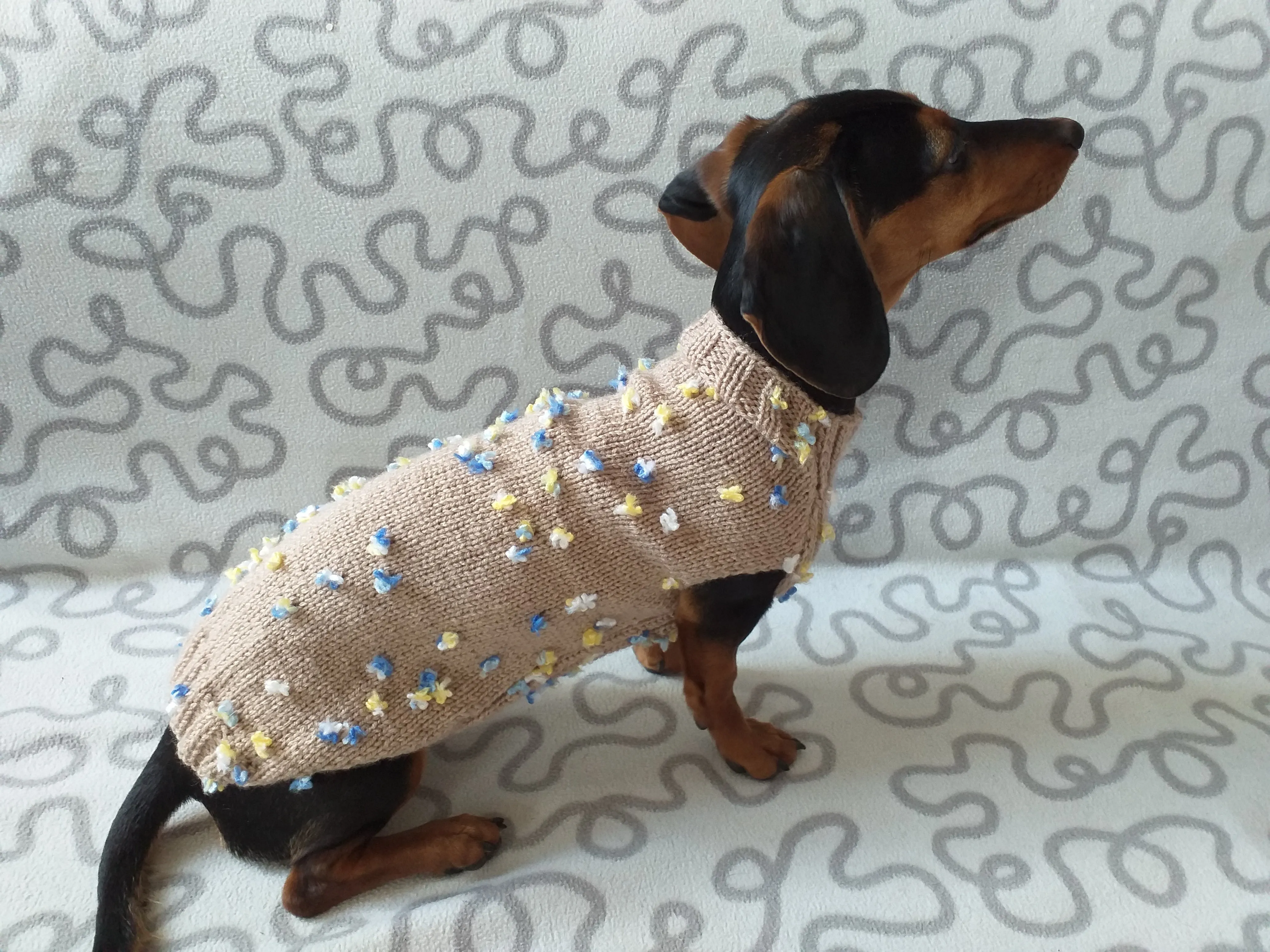 Jumper with flowers for a mini dachshund,Sweater with flowers and butterflies for miniature dachshund or small dog.