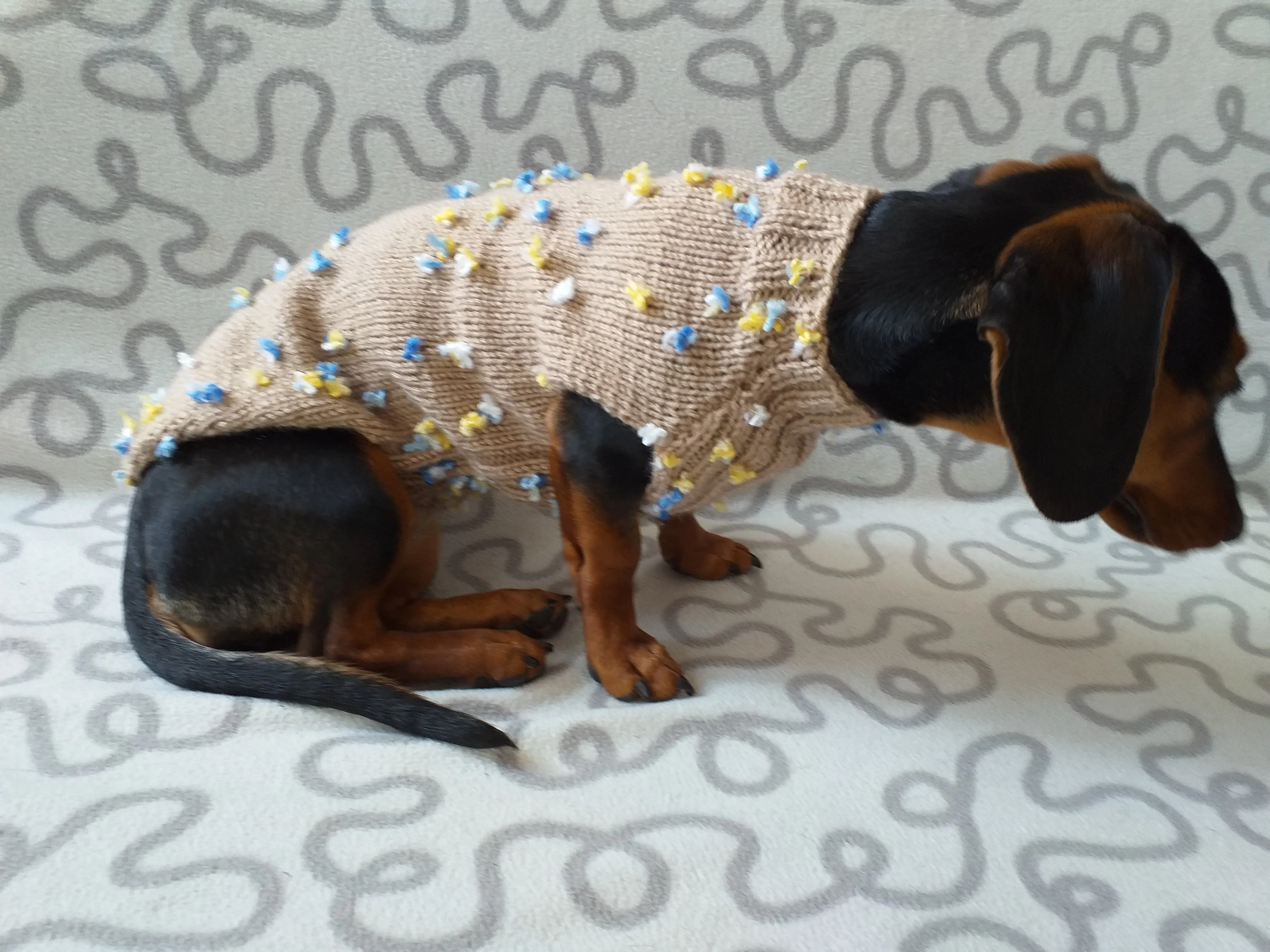 Jumper with flowers for a mini dachshund,Sweater with flowers and butterflies for miniature dachshund or small dog.