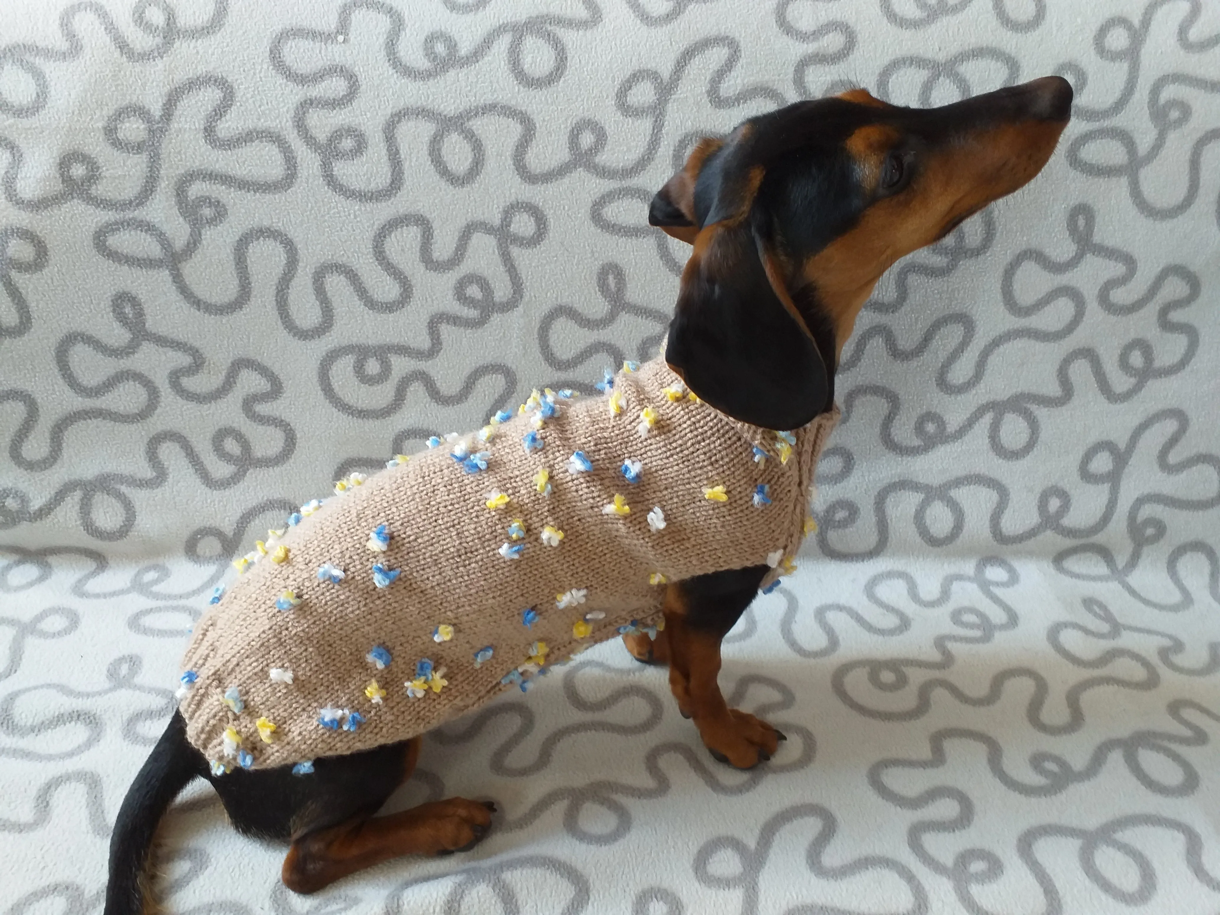 Jumper with flowers for a mini dachshund,Sweater with flowers and butterflies for miniature dachshund or small dog.