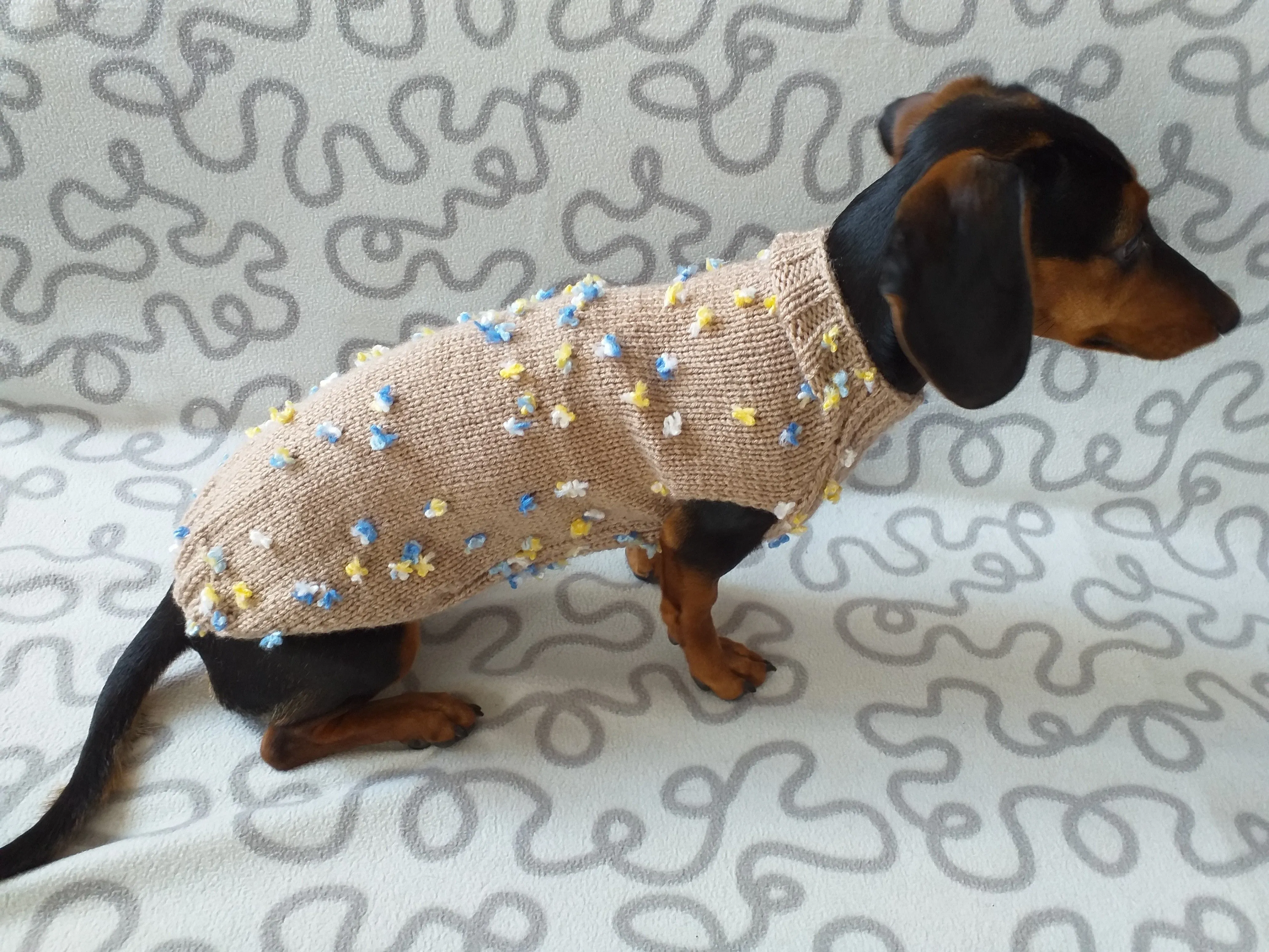 Jumper with flowers for a mini dachshund,Sweater with flowers and butterflies for miniature dachshund or small dog.