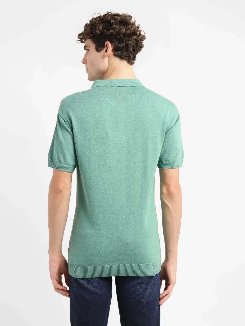 Men's Striped Green Polo Collar Sweater