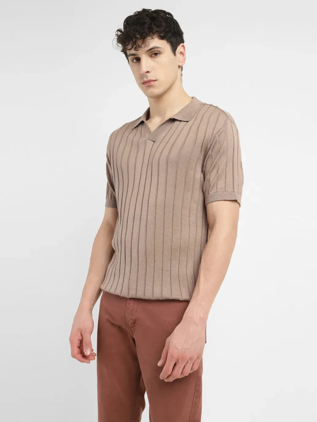 Men's Striped Khaki Polo Collar Sweater